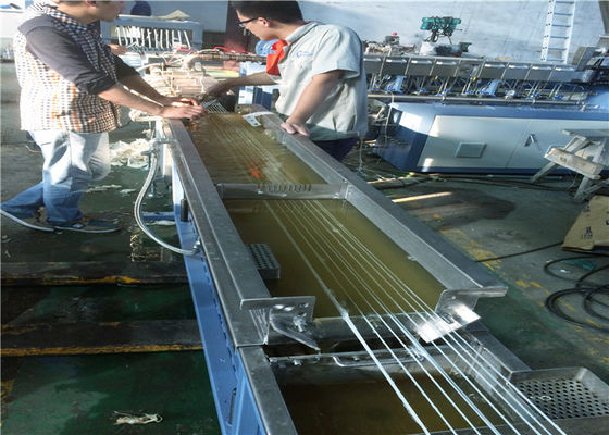 China Dubbel Goedgekeurd de Machinece Met hoge weerstand ISO9001 van de Schroeflfrt Uitdrijving leverancier